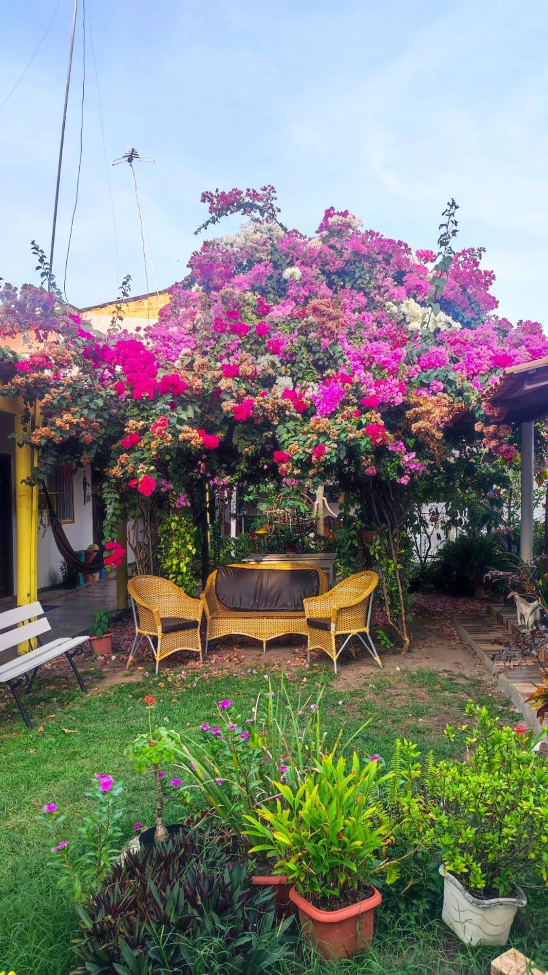 Pousada Solar Encanto Do Marajo Soure Kültér fotó